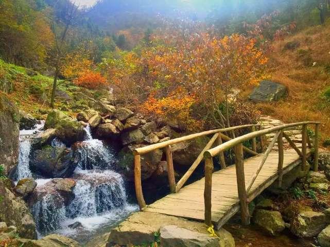 雷竞技比分