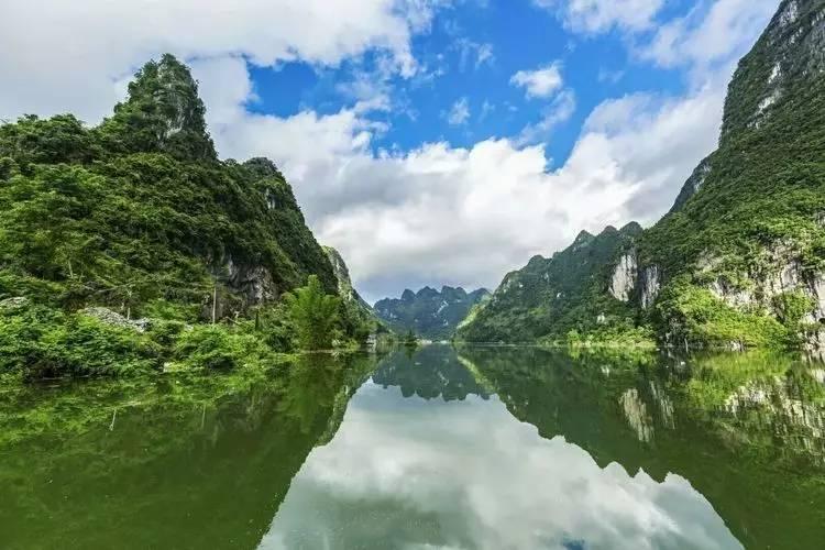 过期的酸奶有什么用途浇花-专业问答平台,快速解答您的问题